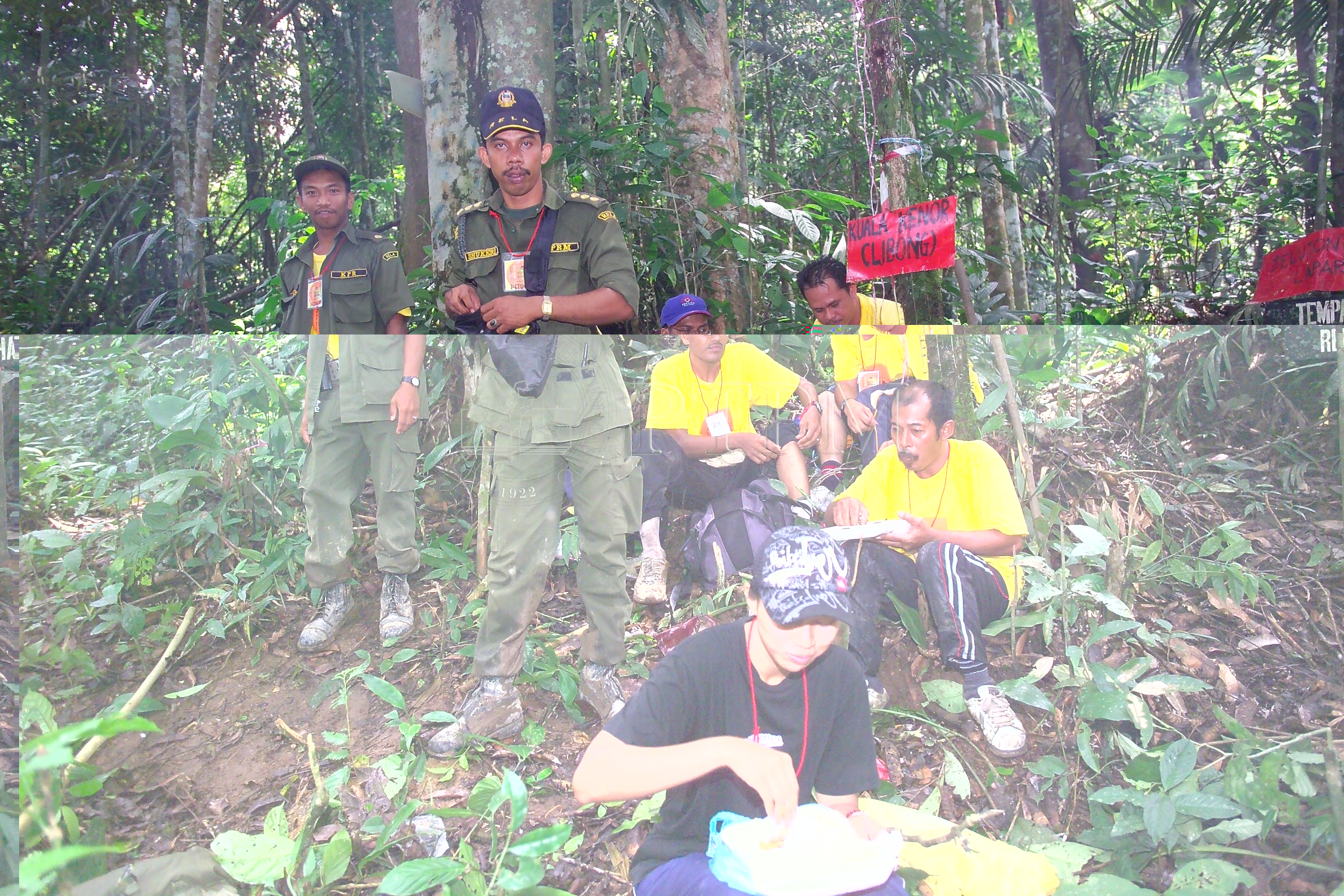 PTPM 06 31 kilau D9X44182